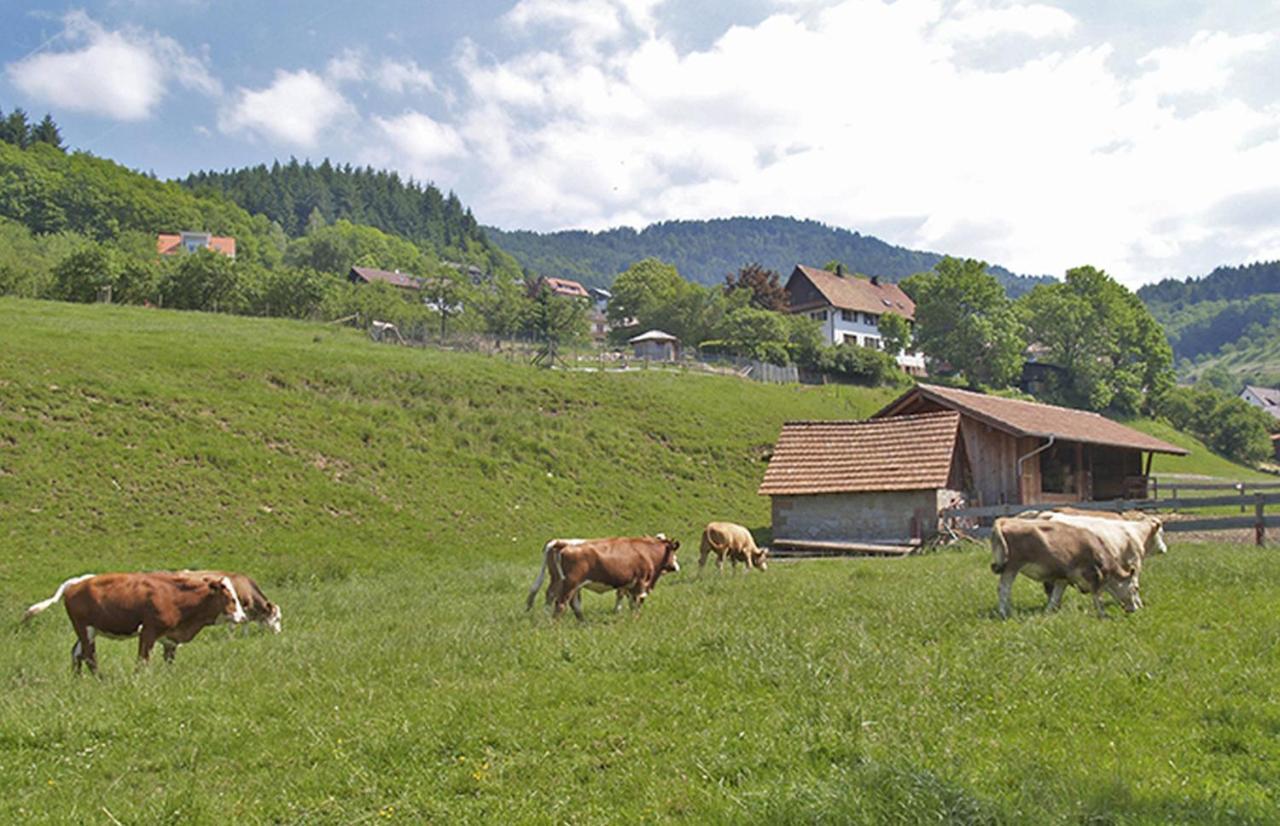 Apartamento Schnurrenhof Seebach Exterior foto